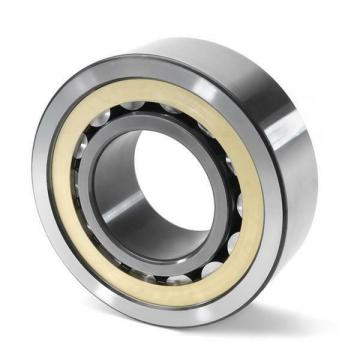 SL183011 INA Cylindrical Roller Bearing